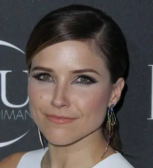 Sophia Bush's boyfriend safe after mountain climbing scare