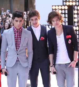 Tony Hadley wanted One Direction for Olympic opening ceremony
