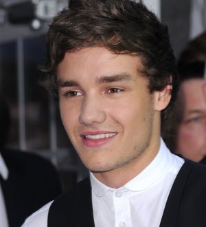 Liam Payne's representative dismisses engagement rumours