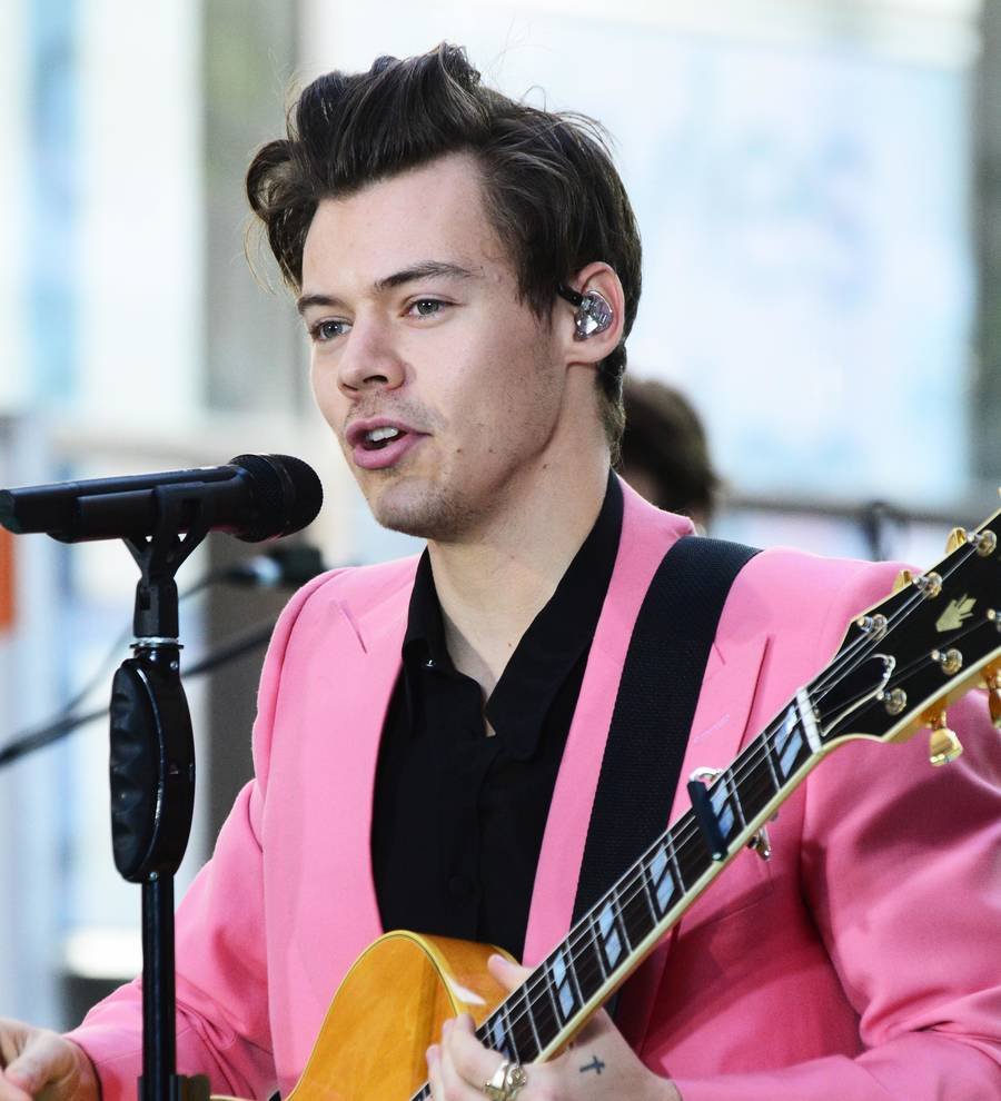 Harry Styles' rumored girlfriend asks followers to 'be kind'