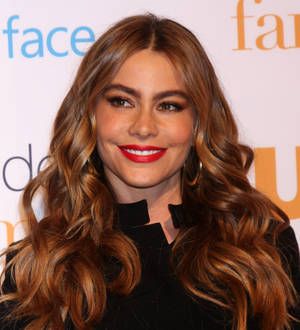 Sofia Vergara slaps TV host over Internet remarks