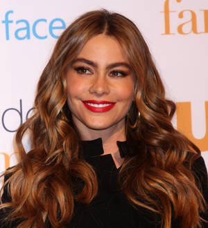 Sofia Vergara slaps TV host over Internet remarks