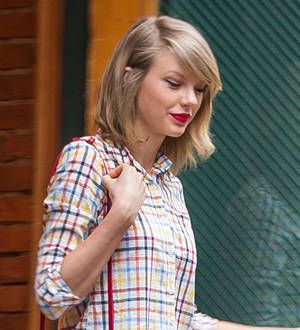 Cat attacks Taylor Swift at Met Gala fitting