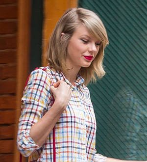 Cat attacks Taylor Swift at Met Gala fitting