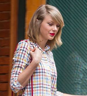Cat attacks Taylor Swift at Met Gala fitting