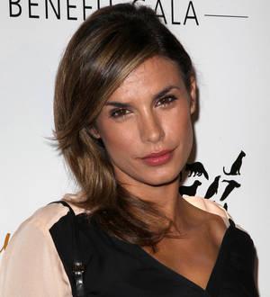 Elisabetta Canalis engaged