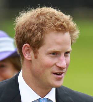 Suspect pleads guilty to Prince Harry murder plot