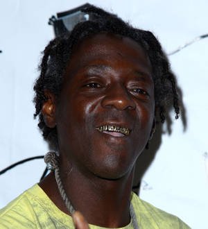 Grand jury to decide Flavor Flav's fate in speeding case