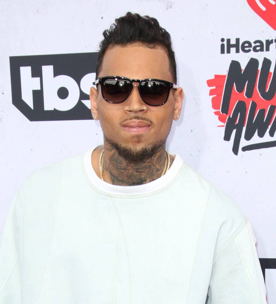 Chris Brown wins custody battle victory
