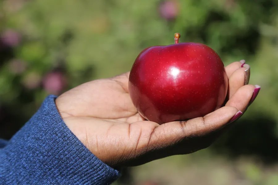 Celebrate National Apple Month With These Recipes!