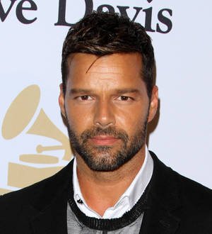Ricky Martin back on good terms with ex-boyfriend