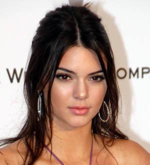 Kendall Jenner hates social media
