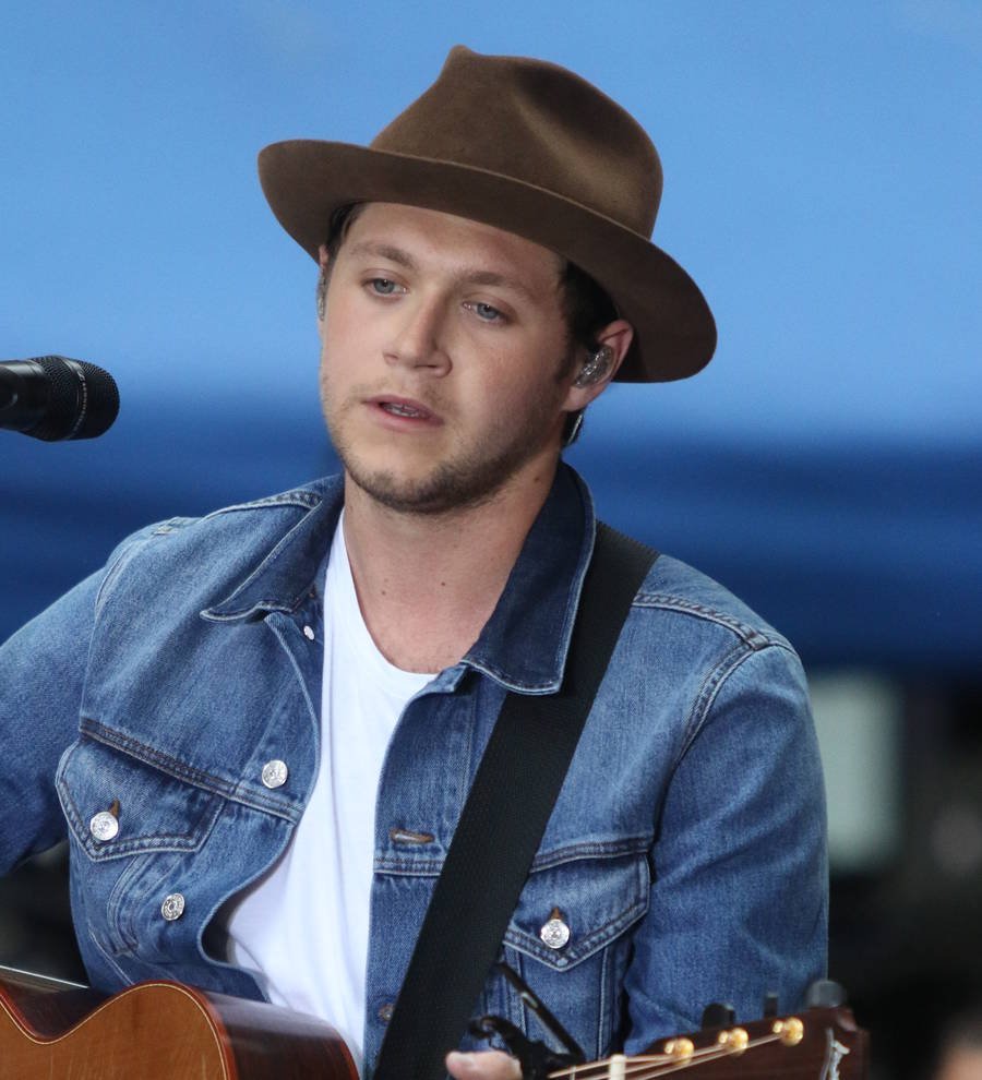 Niall Horan fears solo album makes him seem emotionally unstable