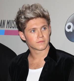 Niall Horan splits from model Barbara Palvin - report