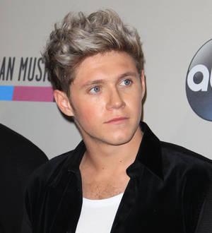 Niall Horan splits from model Barbara Palvin - report