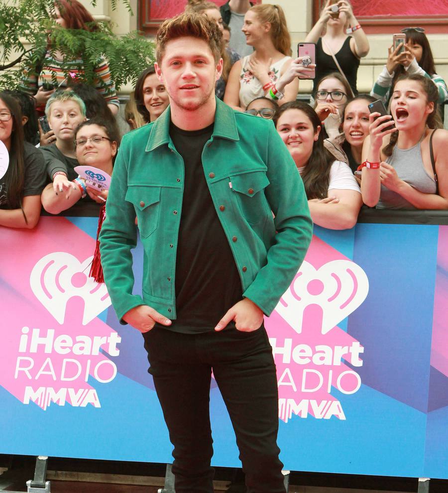 Niall Horan seeks out Irish stars for new tour