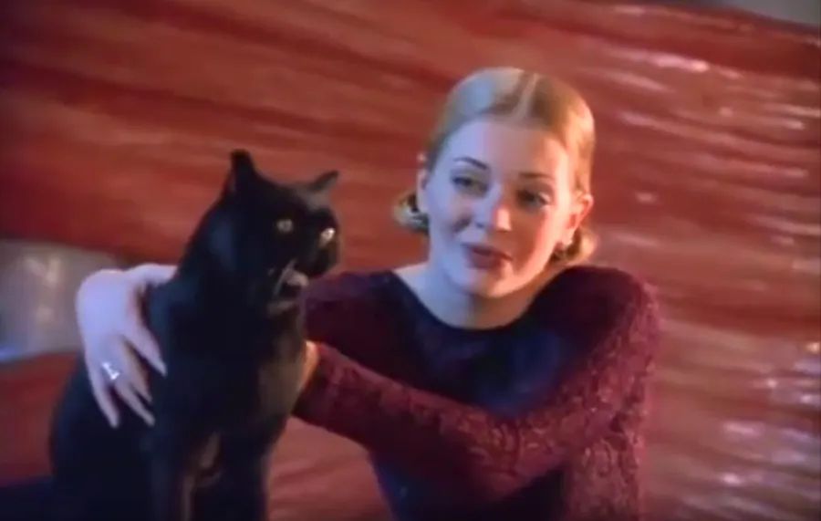 Our Top 5 Favorite TV Pets!