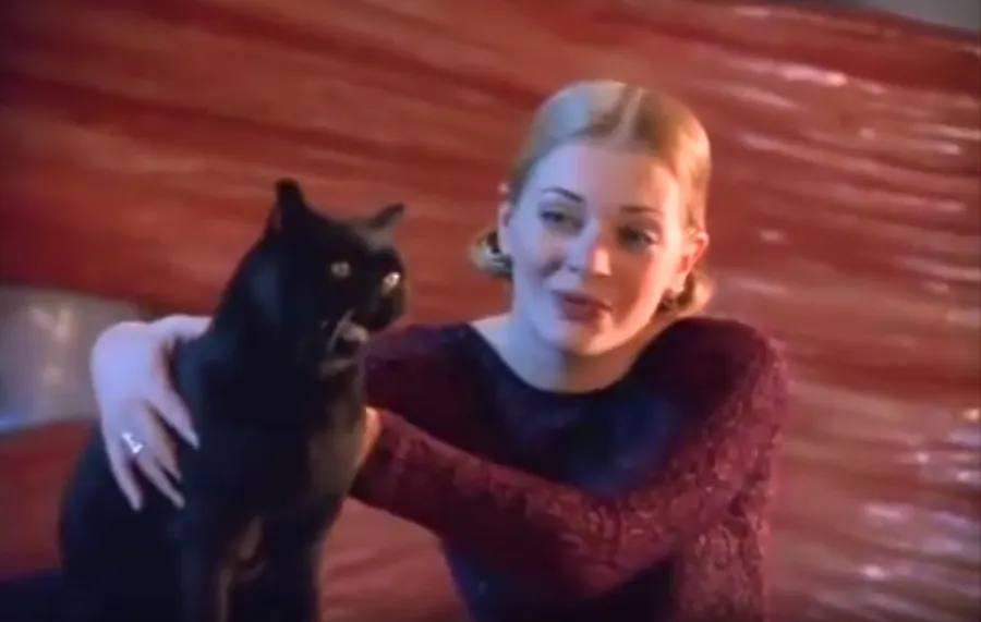 Our Top 5 Favorite TV Pets!