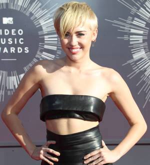 Miley Cyrus' homeless pal Jesse Helt jailed for probation violation