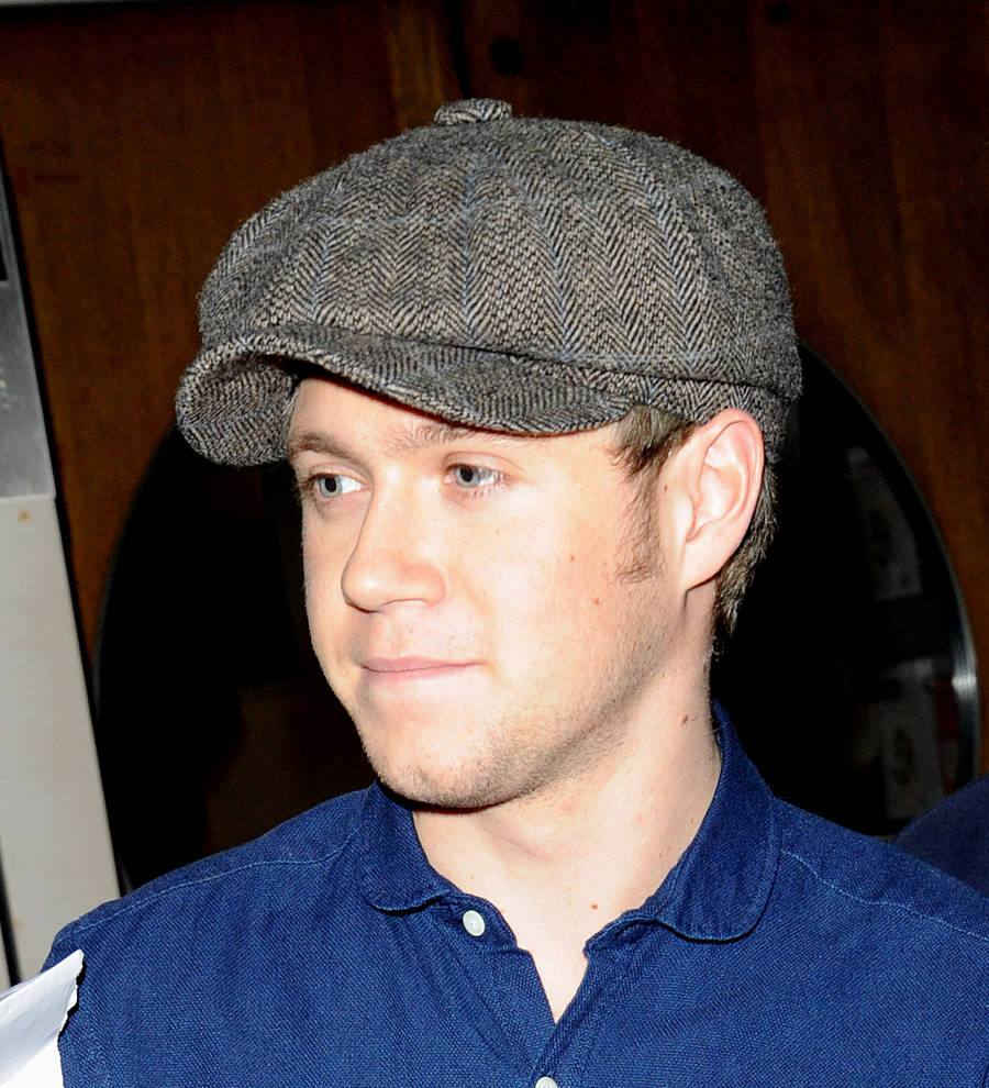 Niall Horan teams up with Ellie Goulding in studio