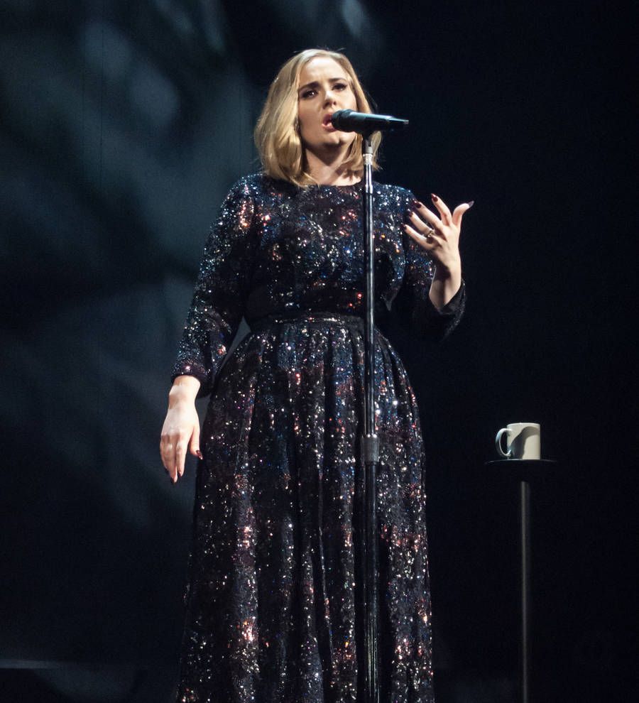 Brawl breaks out at Adele concert