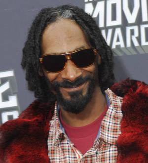 Snoop Dogg: 'Marijuana party didn't go up in smoke'