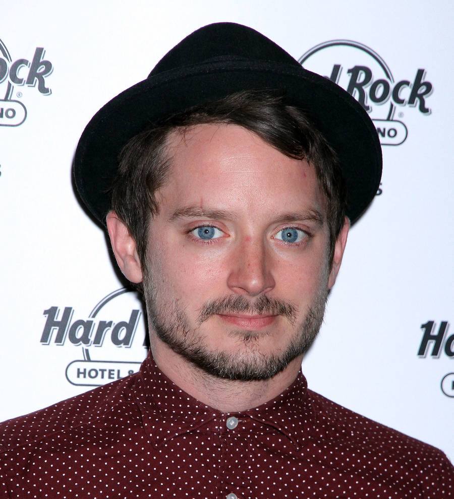 Elijah Wood upset by Sunday Times interview