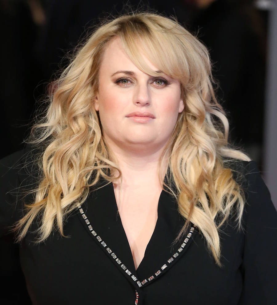 Rebel Wilson amazed musical orchestra with perfect pitch