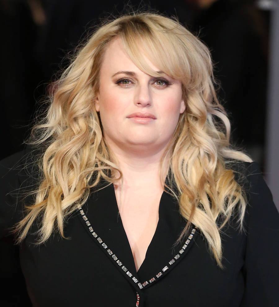Rebel Wilson amazed musical orchestra with perfect pitch