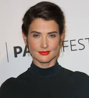 Cobie Smulders reveals she was a new year new mum
