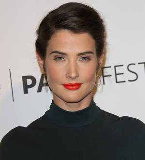 Cobie Smulders reveals she was a new year new mum