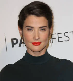 Cobie Smulders reveals she was a new year new mum