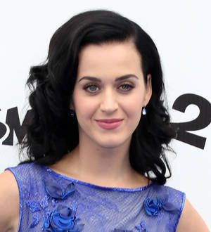 Katy Perry grills Australian politician on gay marriage