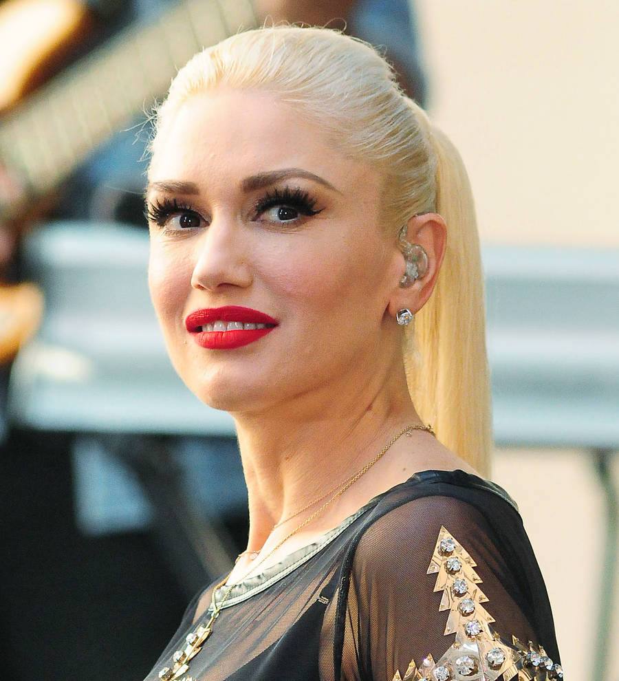 Gwen Stefani thrills bullied fan with magic concert moment