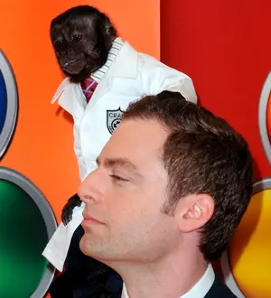 PETA happy about Animal Practise TV show cancellation