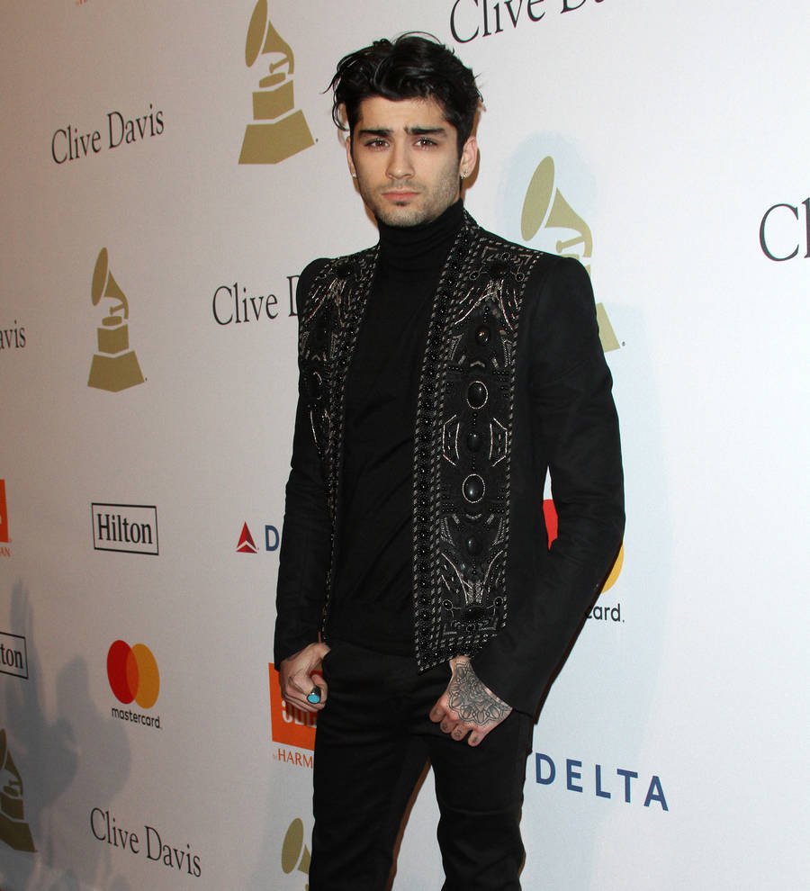 Zayn Malik would be an English lecturer if he wasn't famous