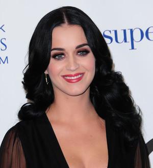 Katy Perry's brother: 'She deserves a true gentleman'