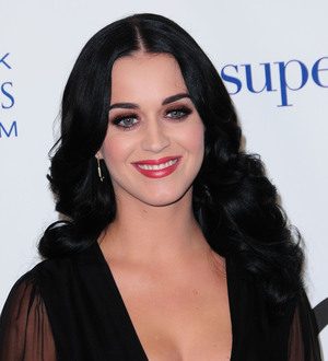 Katy Perry's brother: 'She deserves a true gentleman'