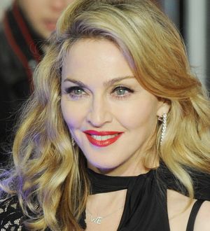 Madonna auctions W.E. red carpet meeting
