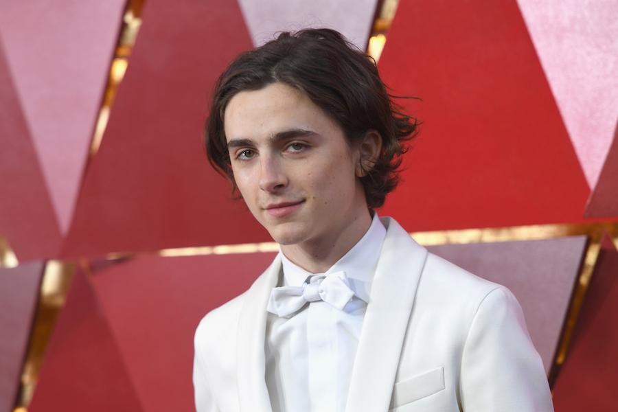 4 Things You Should Know About Timothée Chalamet!
