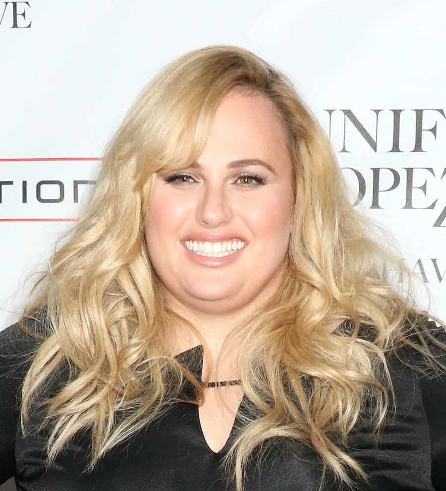 Rebel Wilson seeking sober friends