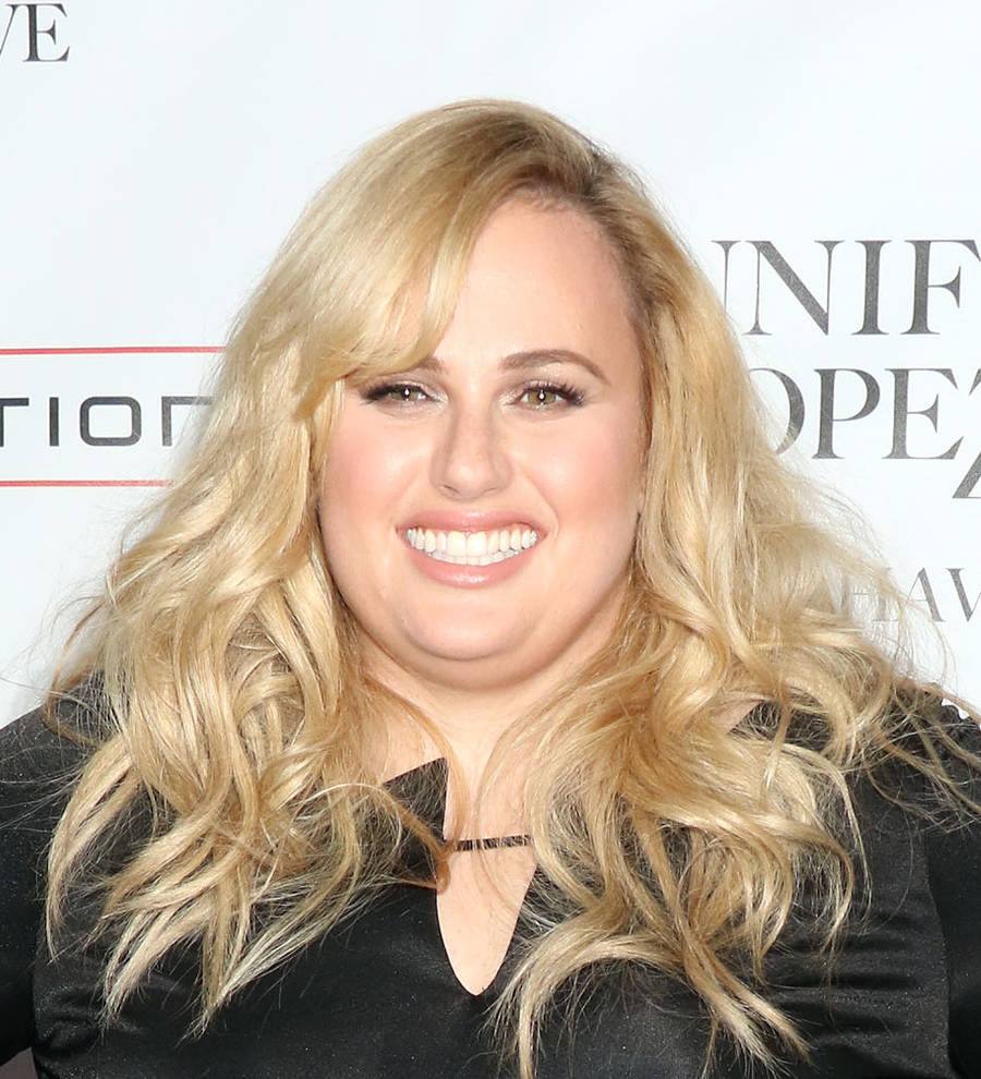 Rebel Wilson seeking sober friends