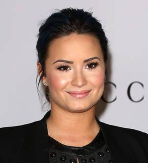 Demi Lovato's family fears convinced her to seek addiction help