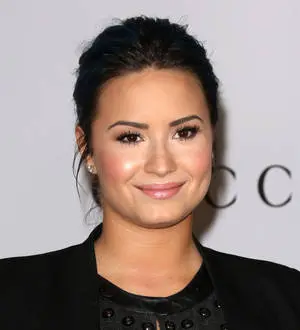 Demi Lovato's family fears convinced her to seek addiction help
