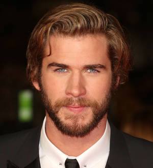 Liam Hemsworth achieves skydiving dream