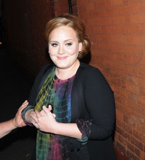 Adele's shock as woman passes out at show