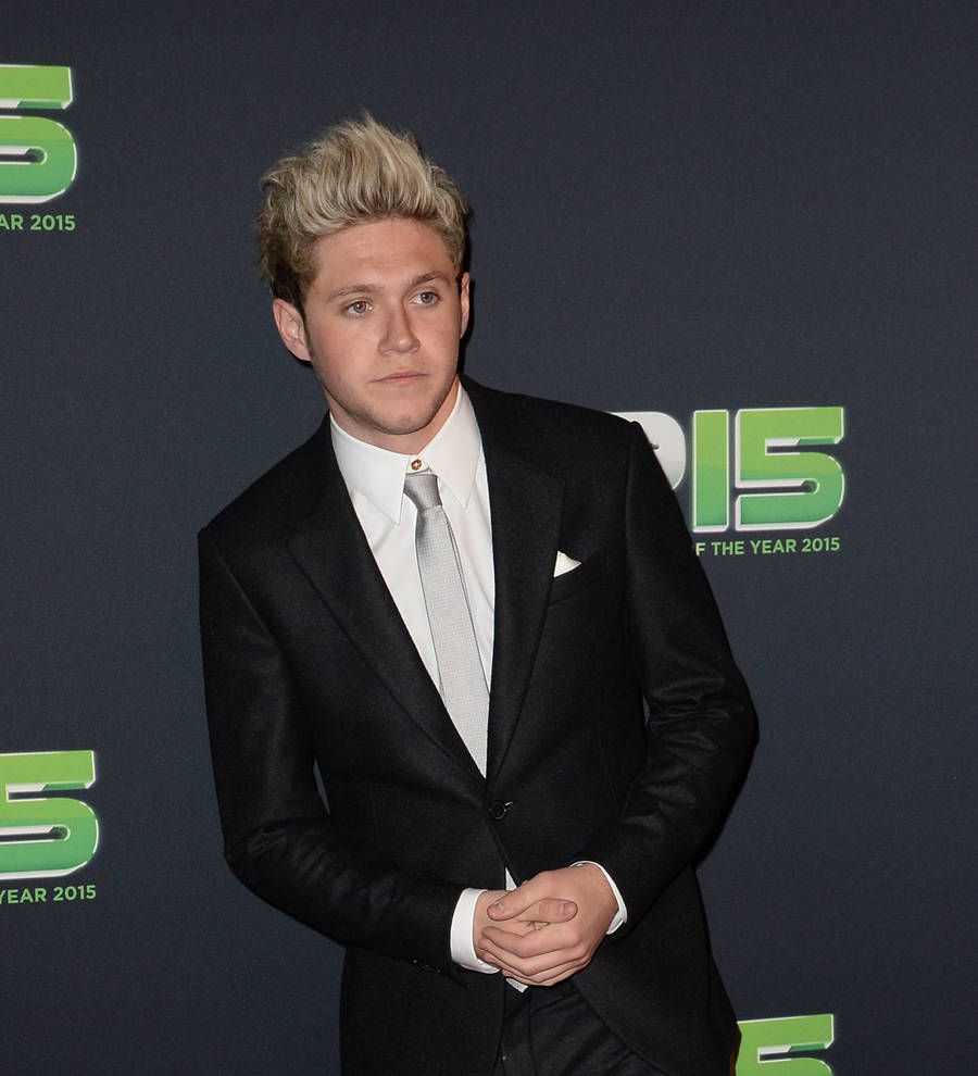 One Direction's Niall Horan 'dating' model Jessica Serfaty