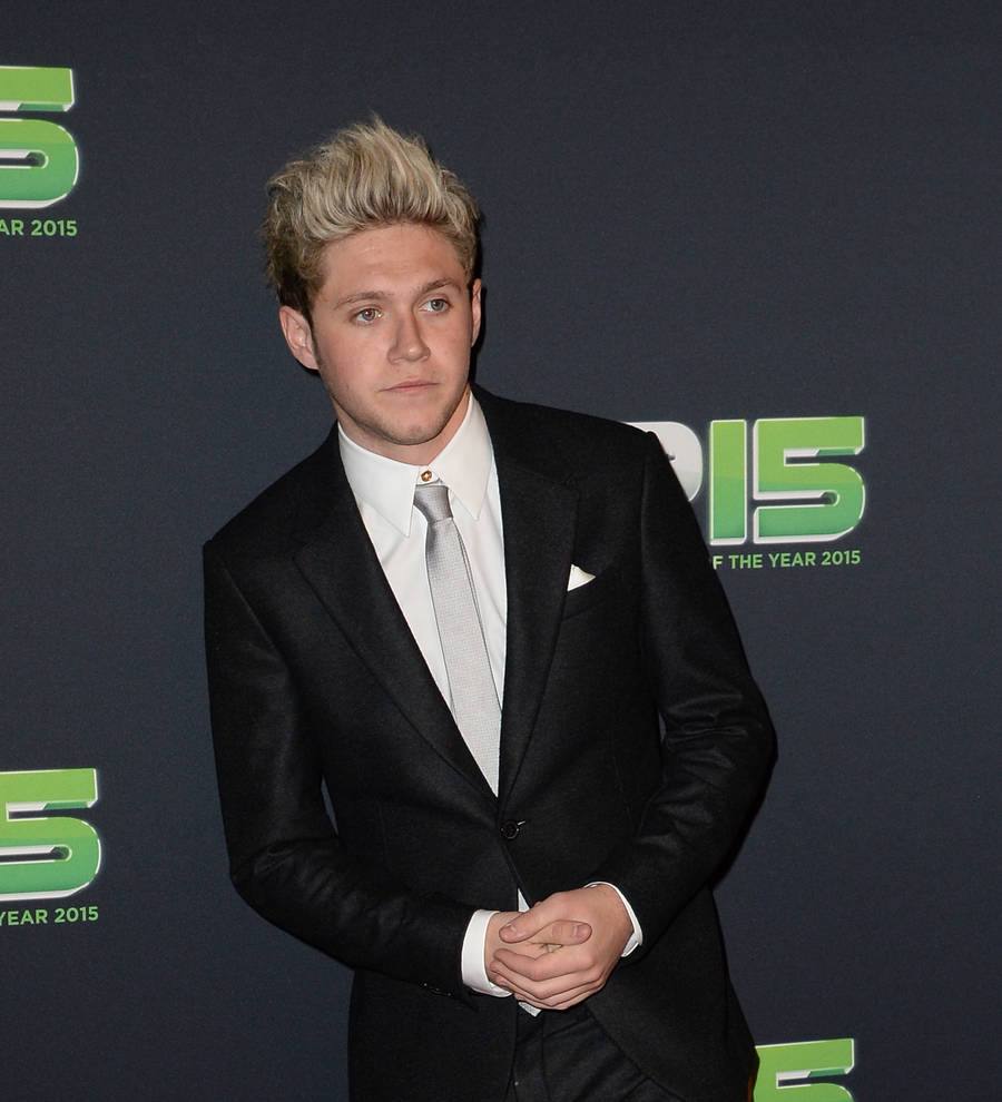 One Direction's Niall Horan 'dating' model Jessica Serfaty