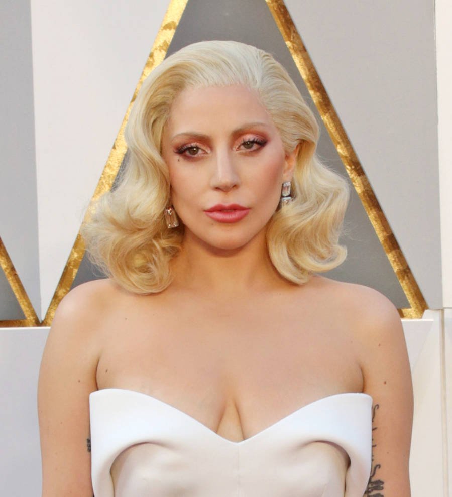 Lady Gaga gatecrashes wedding photo shoot