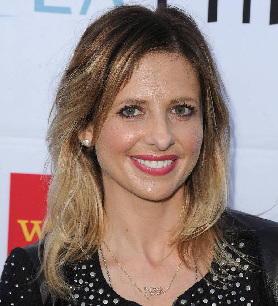 Sarah Michelle Gellar honours husband on wedding anniversary